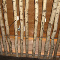 washington-nyc-2-070_575640388_o.jpg